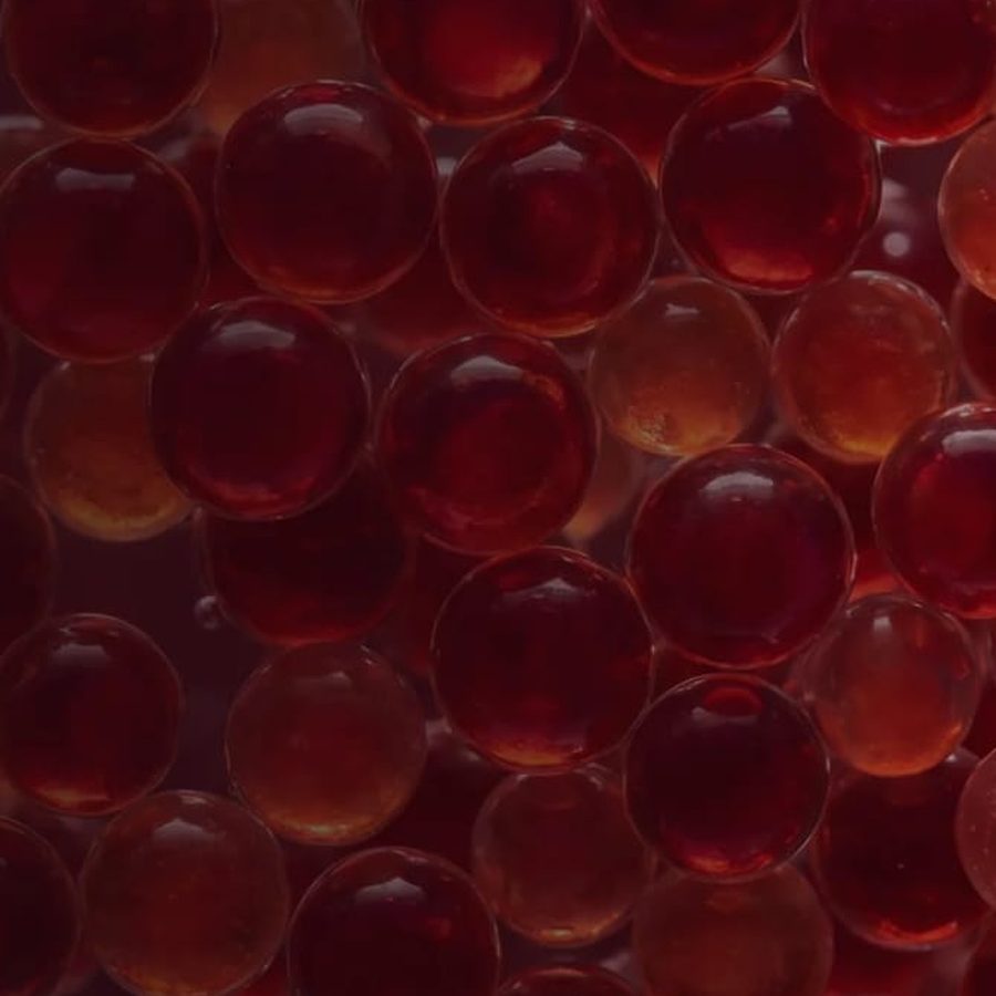 Cultivated microalgae, the source of our astaxanthin